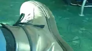 عراب يمني صنعاني عدني