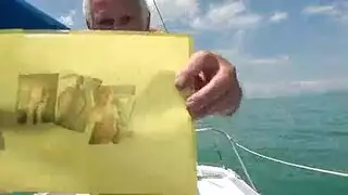 العضلات مكبل مكتنزة