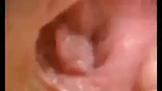 البرلينية ديسكو الفرنسية
