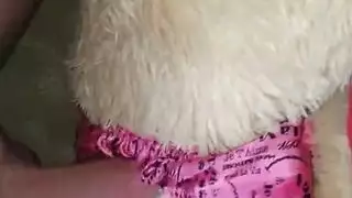 تيدي الممتلئة تأخذ عدة قضبان سوداء بعد مص الأثداء