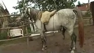 حفلة جنس في كشك الخيل: نيك مزدوج وجماعي مع مجموعة فحول