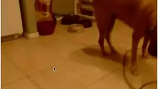 أم مثيرة بمؤخرة كبيرة تبث مباشرة: عرض كاميرا لمطلقة ساخنة