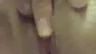 سحاقيات عاريات يتوسلن لحمام حليب كثيف