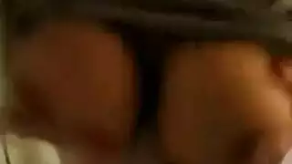 الكلبة تورم الهرة