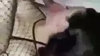 مغربية انتهازية تتعرض لجنس عنيف من عربي ثري في دبي