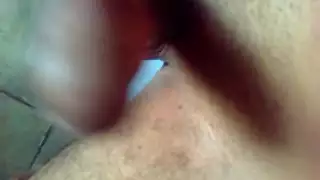 جنس حيوانات متوحش كلاب تمارس الجنس مع إناث