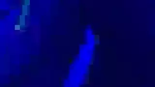 خيال نهال عنبر بالاختراق المزدوج في الصور